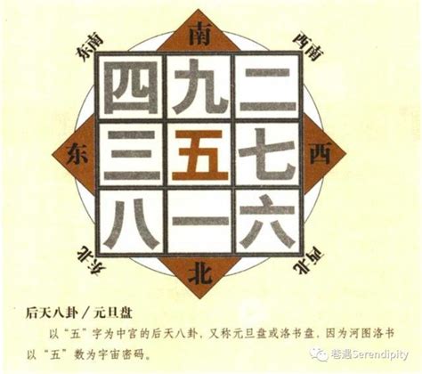 大金龙 风水|大金龙与零神正神